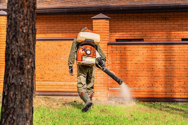 Trusted Termite Control service in Berry Hill, TN - Nex Pest Control